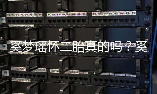 老公吗奚梦奚梦真的终未正面二胎瑶怀瑶和何猷回应君始