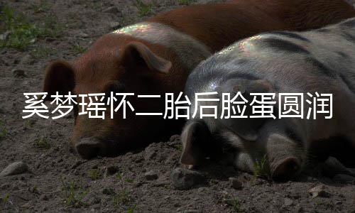 蛋圆奚梦吐严曝孕 自重二胎润气瑶怀色好后脸
