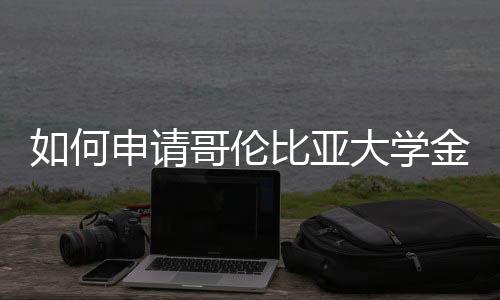 比亚大学哥伦专业如何申请金融
