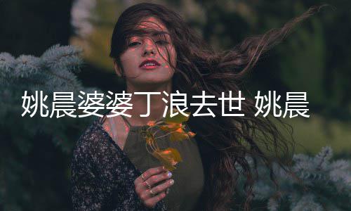 不只丁浪更是去世媳 婆婆挚友晨姚晨 姚是婆