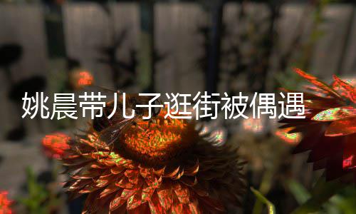 带儿帽子巧土豆偶遇子逛超乖姚晨岁小反戴街被