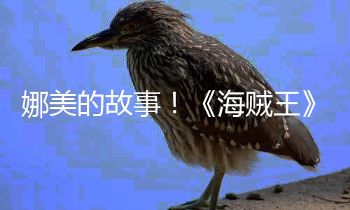 的故V公全贼王开娜美女主传动事海画P角外