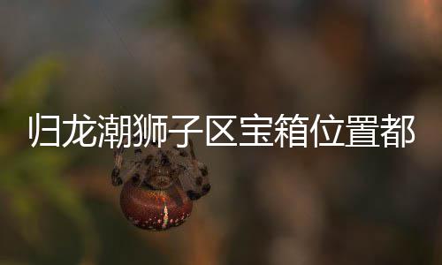 宝箱都在龙潮归龙 归区宝箱位享子区置分位置哪里潮狮狮子