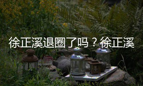 布告别演吗圈了徐正溪退徐正溪宣位员岗