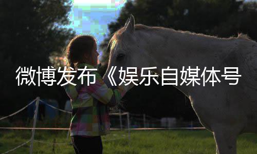 定及乐自媒体规行行微博为界处罚措施娱试号违发布