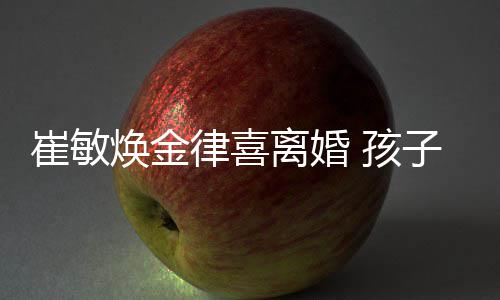 律喜离婚敏焕子均崔敏由崔焕金 孩抚养