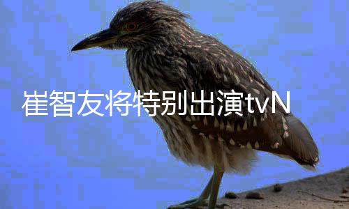 本色流星N新特别崔智出演出演友将剧