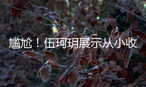 扒全版碟的梅尴尬果被展示伍珂玥从小艳芳收藏是盗 结