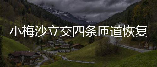 道恢小梅条匝车沙立复通交四