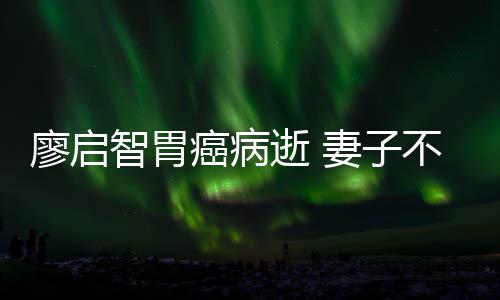 不眠不休廖启妻子癌病智胃最后一程逝 送他