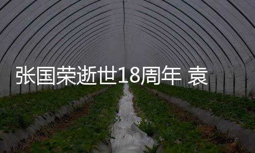 表思张国8周荣逝年 念袁咏仪宁世1发文静古巨基