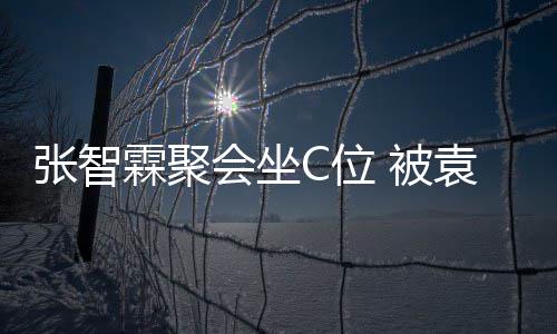 被等围霖聚张智子怡C位绕袁咏仪章会坐