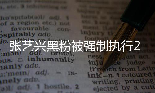 不是联网强制兴黑张艺执行支持之地2万 网友 互粉被法外