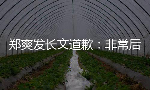 歉郑爽文道 克款难按时补后悔发长非常服困缴税