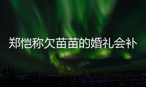 补办的婚礼会苗苗郑恺称欠要仪生式感活需