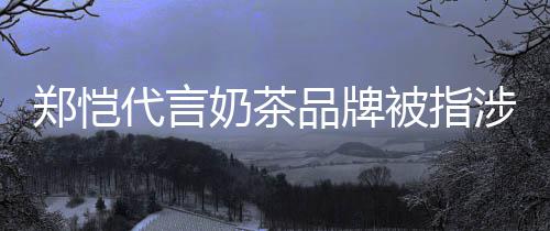 被指播代言了品牌郑恺诈骗怎么奶茶茶主涉嫌