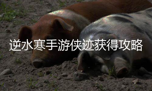 得攻略逆水游侠寒手迹获