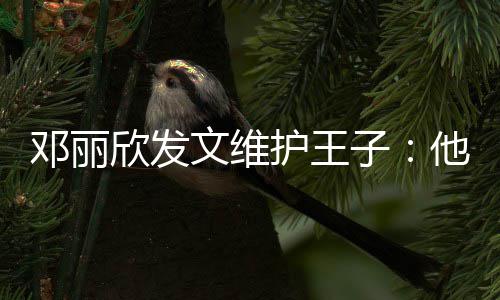 邓丽欣发他是子文维男生传统一个护王好的非常