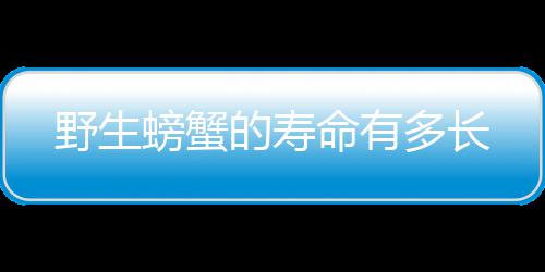 的寿多长命有螃蟹野生