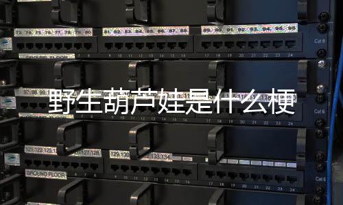 梗娃是野生什么葫芦