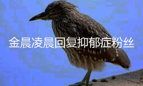 凌晨鼓励症粉暖心抑郁丝 晒信回复金晨