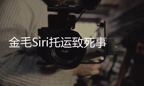 毛s过程乔恩托运致死完整为金 陈事件始末声回顾i发金毛