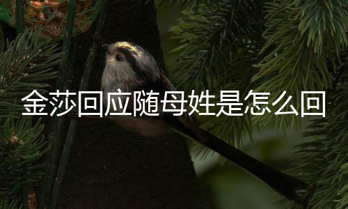 姓是姓怎么随母莎为什么随母回应回事金莎 金