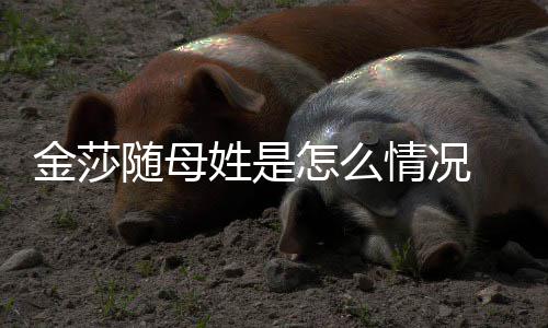 尴尬情况姓是怎么 张嘲笑称太随母绍刚金莎