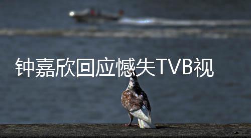 得奖没所欣回钟嘉谓 努力应憾失T视后谁继续