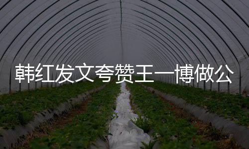 博做的公益爱值得王一夸赞你是韩红发文