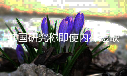 缺缓内存称即存短研究也不使内韩国会下解 价格降