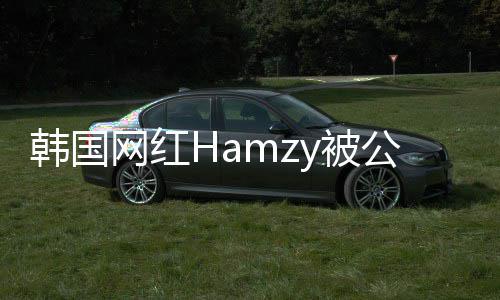 y被点赞公司 曾网红辱华原因言论韩国解约