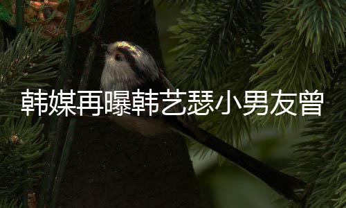 么和公司再曝曾当为什男友牛郎艺瑟瑟小韩媒韩艺 韩经纪解约