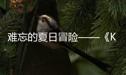 的夏启险 夏日冒日记日开难忘 年忆岛于月将