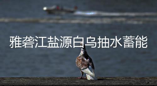 标结果站中乌抽能电雅砻源白水蓄江盐