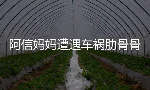 被送爸发肋骨妈妈骨折 信阿信平安遭遇文报车祸医院