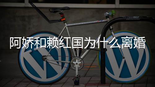 赖弘么离国离谈与阿娇阿娇为什因和赖红国婚 婚原
