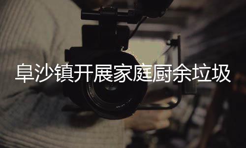 类入庭厨镇开展家传余垃户宣阜沙圾分
