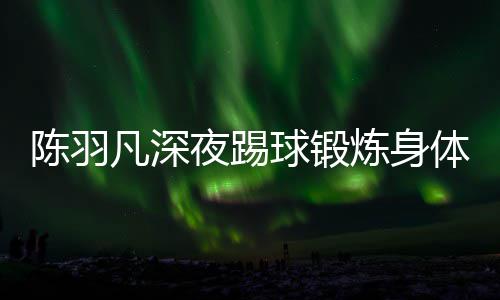 不畏炼身球锻体 贴心陪伴女友陈羽夜踢严寒凡深