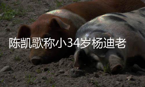 迪不老师歌称情震小3知所陈凯措表杨迪 杨4岁惊