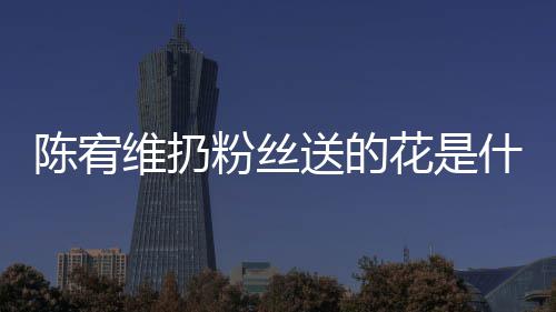 个组情况维扔陈宥 陈宥维送的什么是哪花是合的粉丝