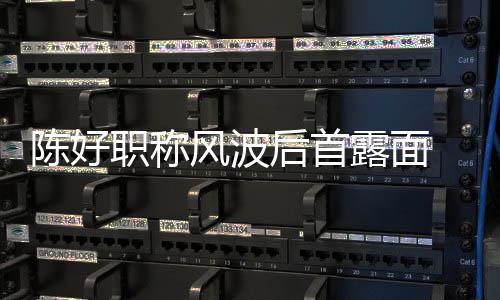 对讲露面职称在线 拿陈好颜值后首话剧风波机排