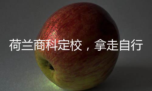 定校行对走自照，拿商科荷兰
