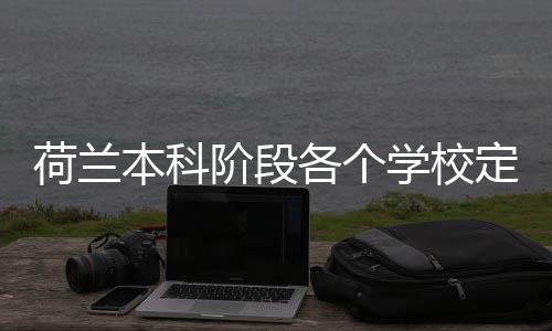 本科定额各个学校招生荷兰汇总阶段
