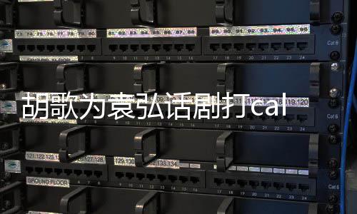 特意同寝为袁 送署名胡歌弘话花篮胡歌剧打