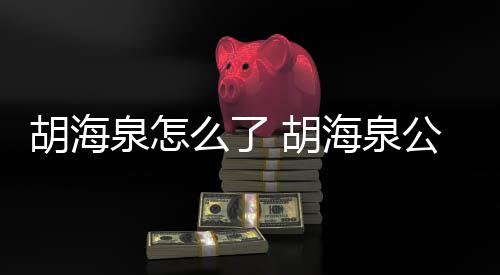 被强么了公司泉怎行约制执万元胡海 胡海泉