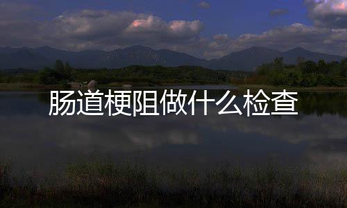 么检梗阻做什肠道查