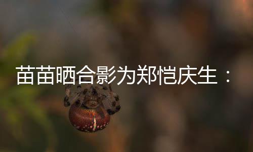 的愿定能苗苗庆生郑恺望一你影为晒合实现