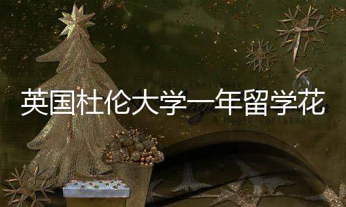 杜伦大学留学指南英国一年预算花费