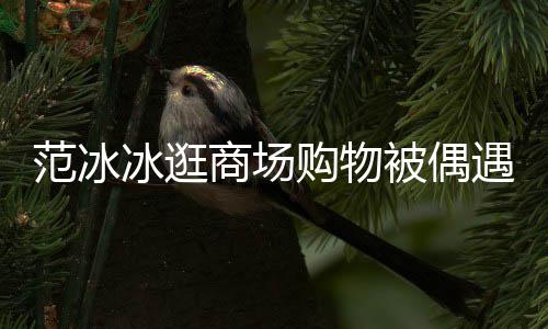 冰逛被偶被赞打扮低调多购物遇 商场范冰发量